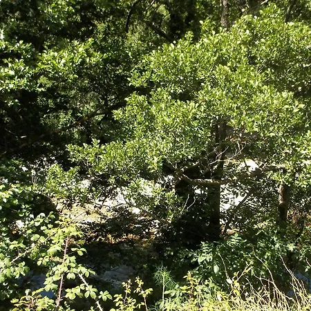 Appartement Centre-ville *