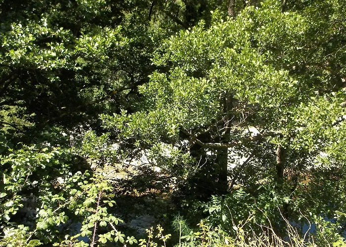 Apartmán Centre-ville *