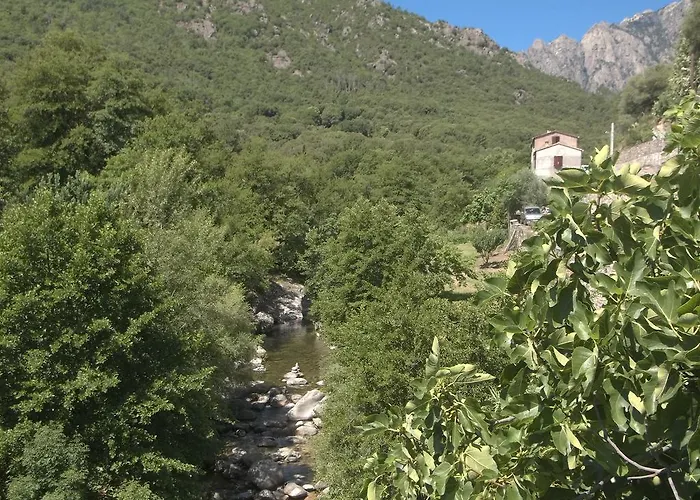 Centre-ville * Corte (Corsica)